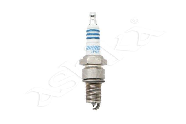 100054/LPG2_1.jpg