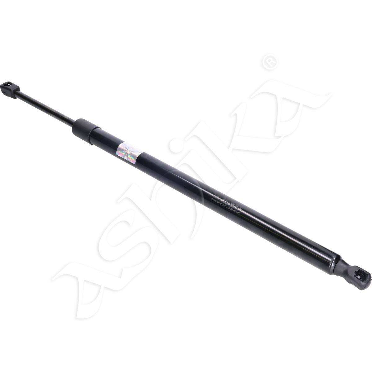 219/ZS00313_1.jpg