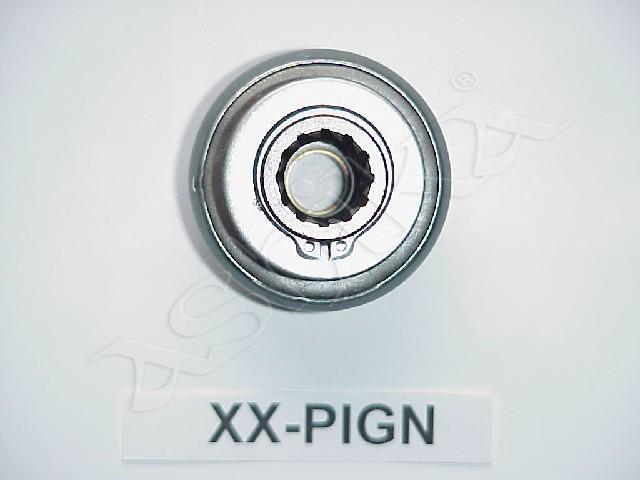 1530/XX-PIGN_2.jpg