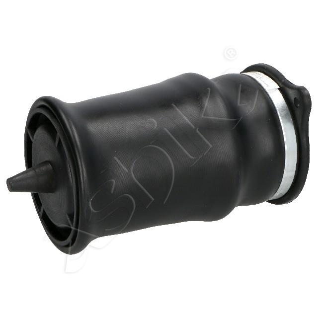 4119/MM-AS049_1.jpg