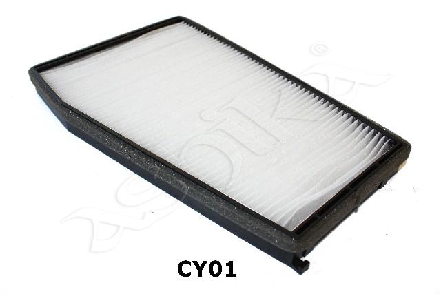 424/FAA-CY01_2.jpg