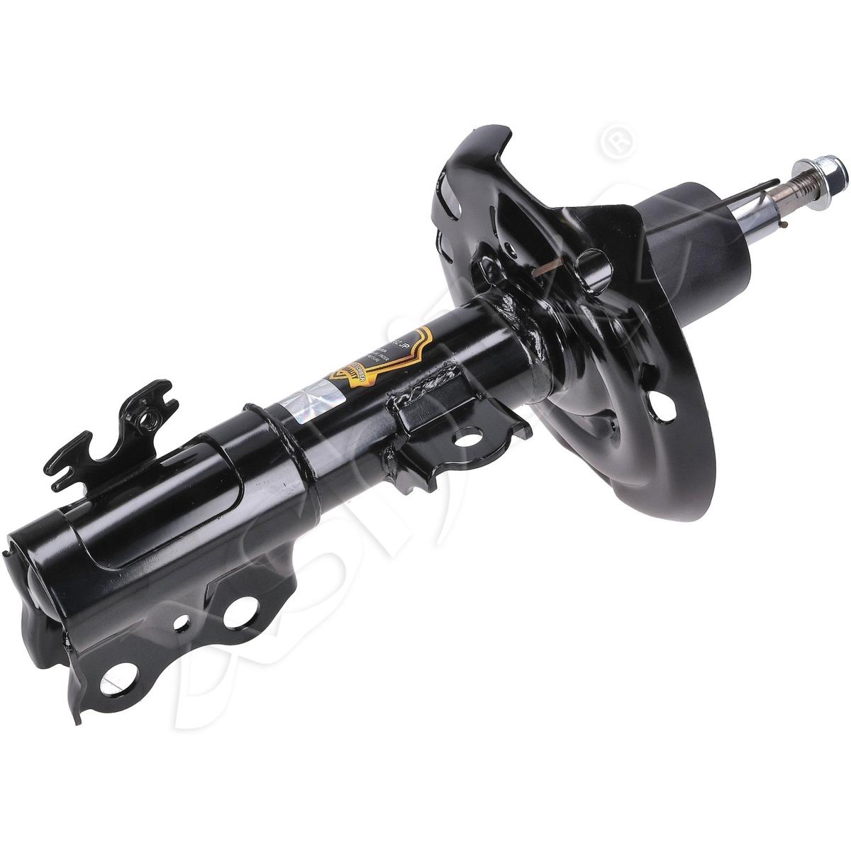 854/MM-01251_1.jpg