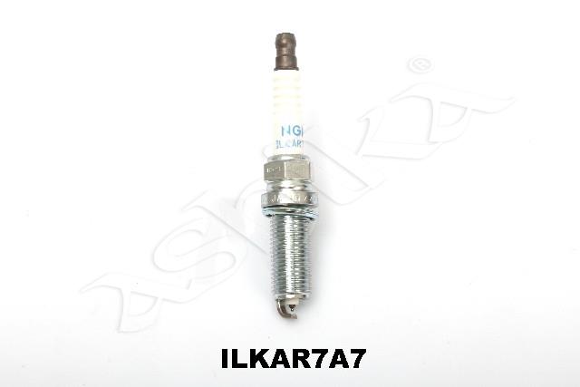 100054/ILKAR7A7_1.jpg