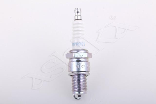 100055/BPR7E~VL19_3.jpg