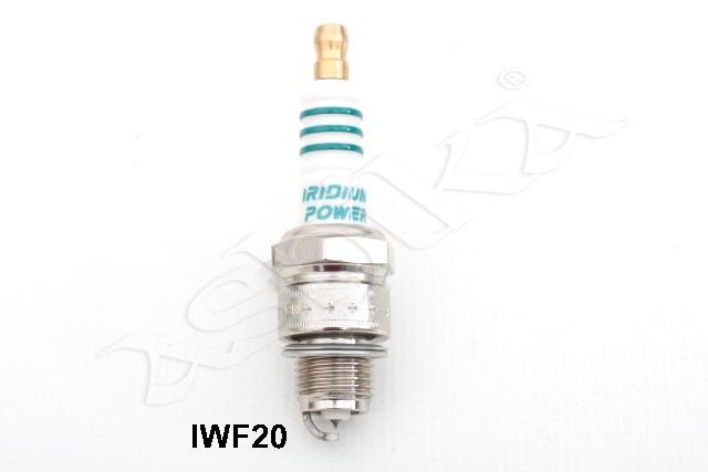 100058/IWF20_3.jpg