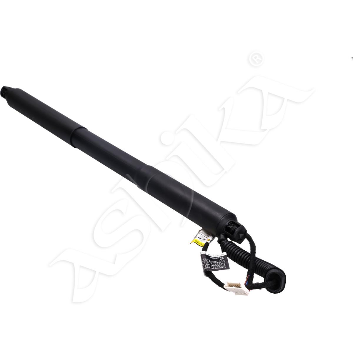 219/ZY-0015_1.jpg