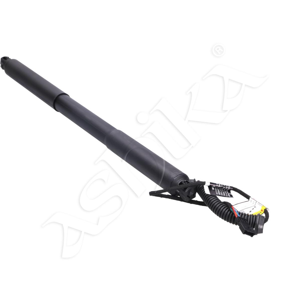 219/ZY-0016_1.jpg