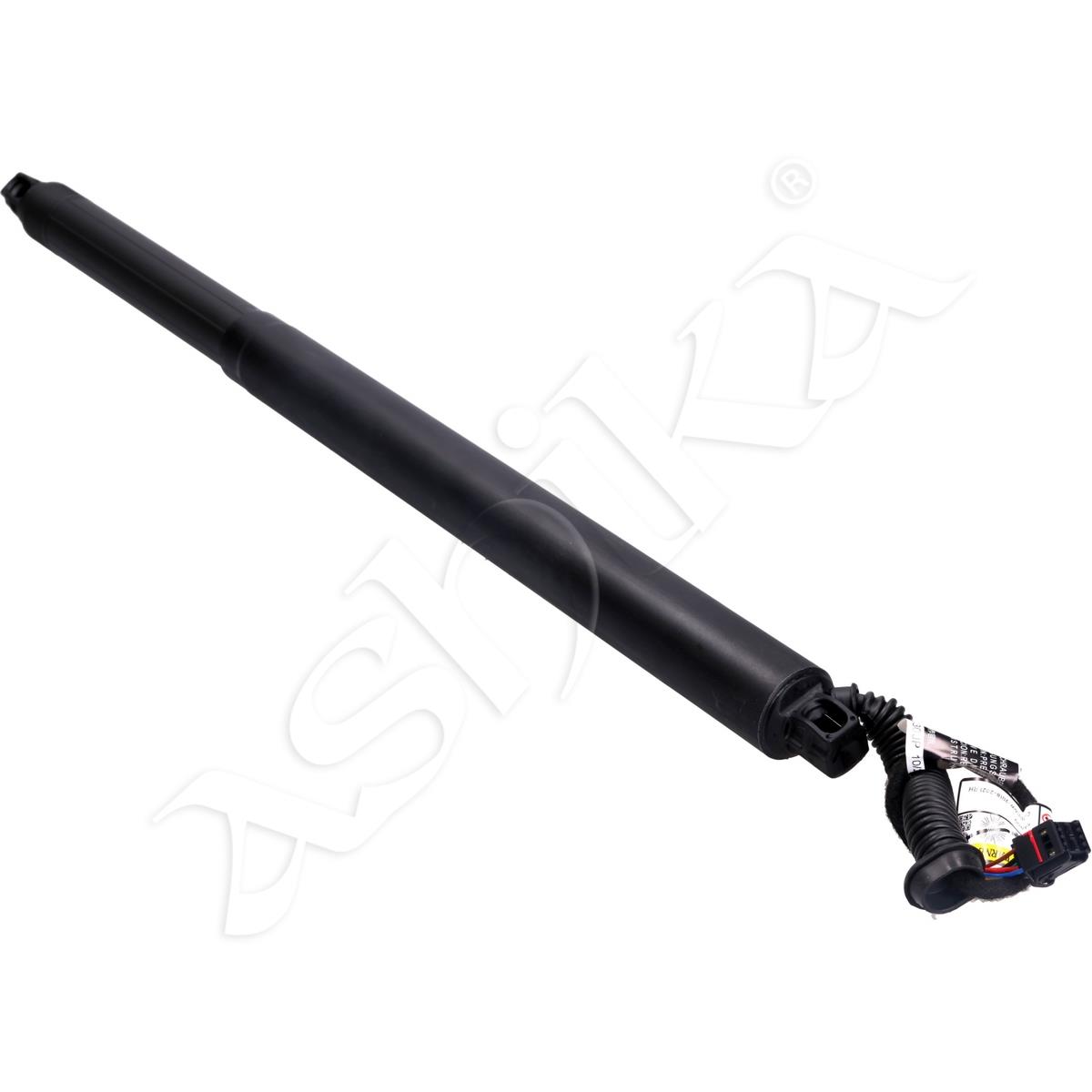 219/ZY-0033_1.jpg