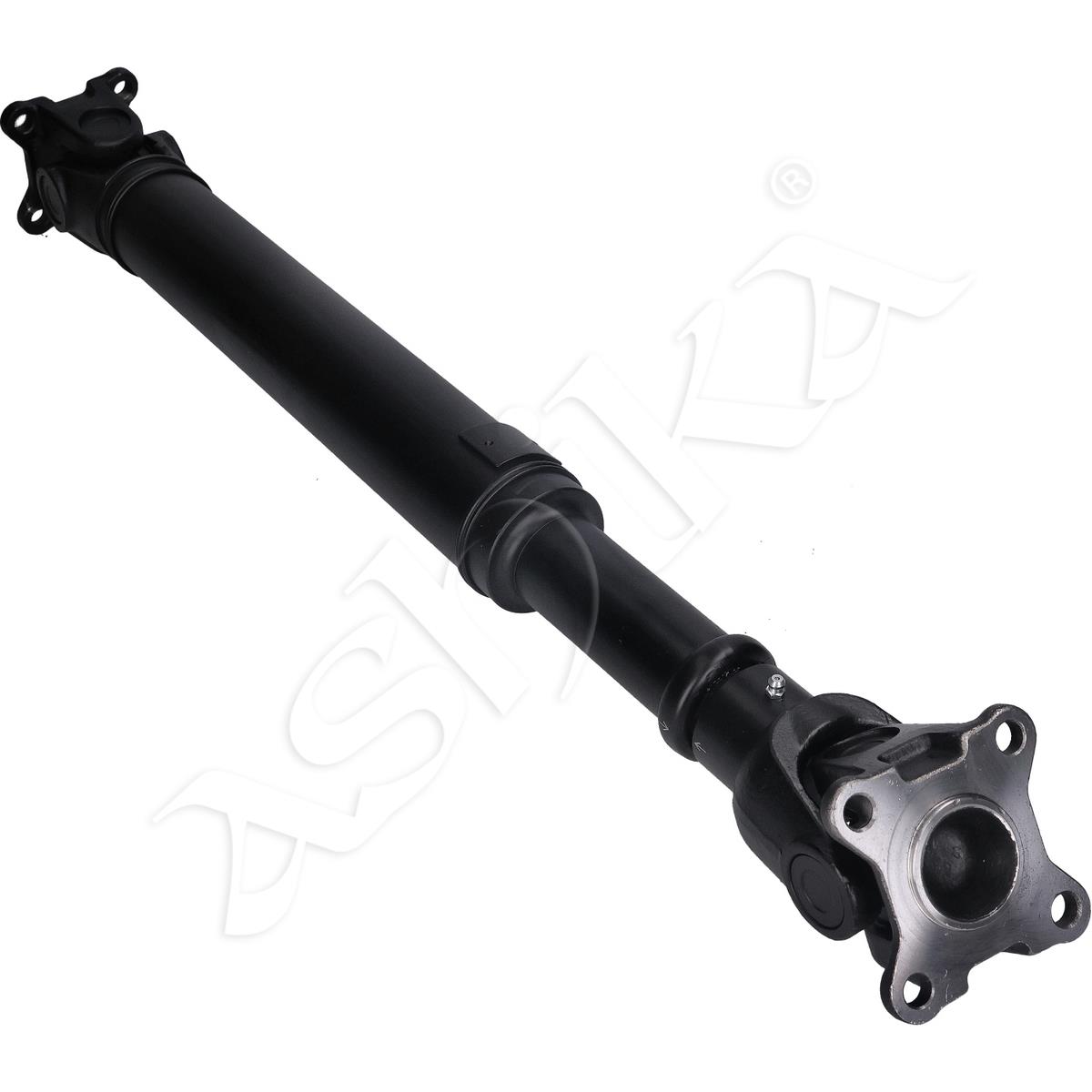 3675/AC-0156_1.jpg