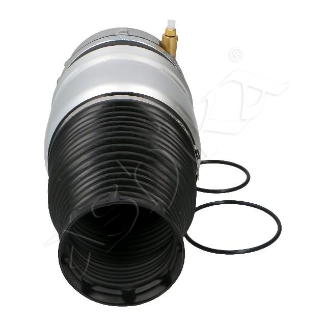 4119/MM-AS053_2.jpg