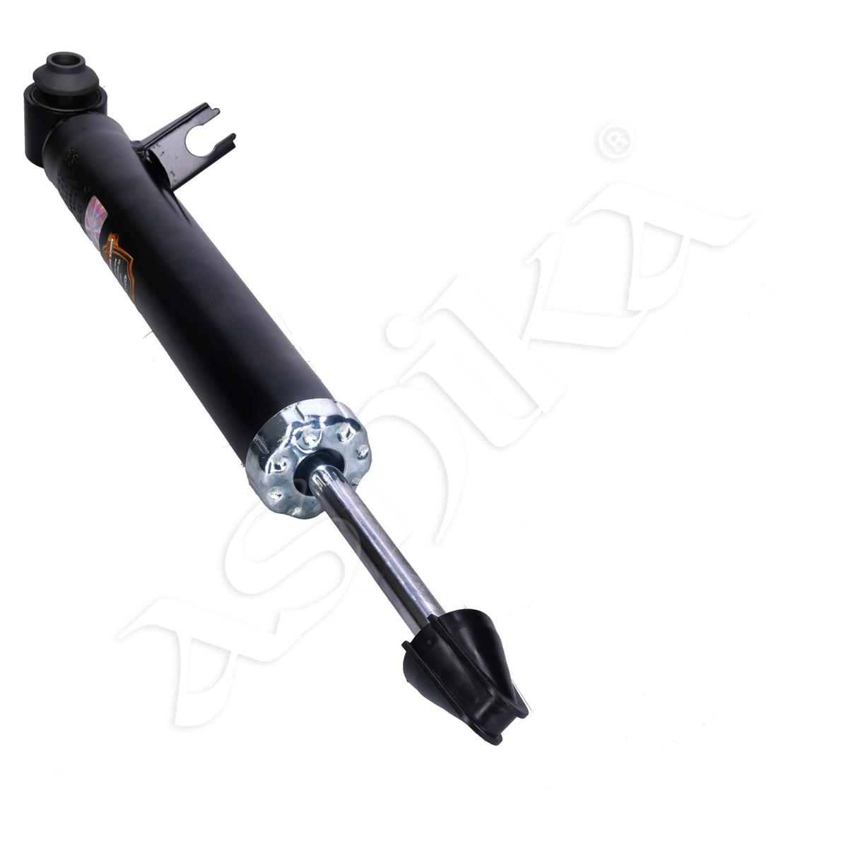854/MM-01039_1.jpg