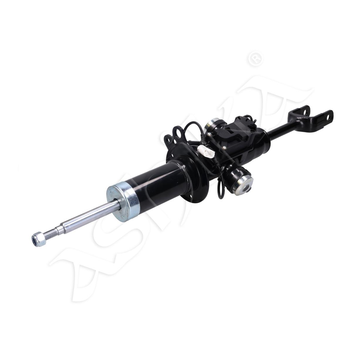 854/MM-01355_1.jpg