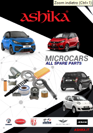 Updated Catalogue Microcar 2024