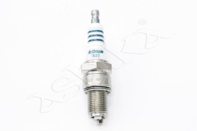 100058/IW22_3.jpg