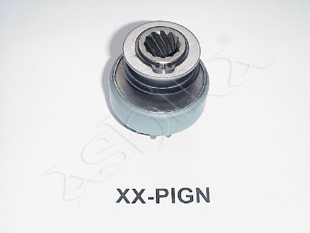 1530/XX-PIGN_1.jpg