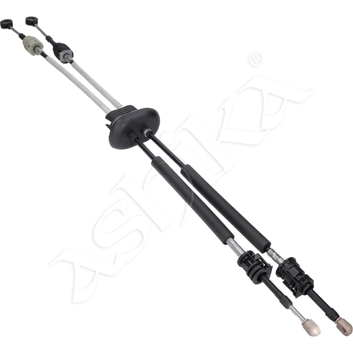 1787/BCV-02157_2.jpg