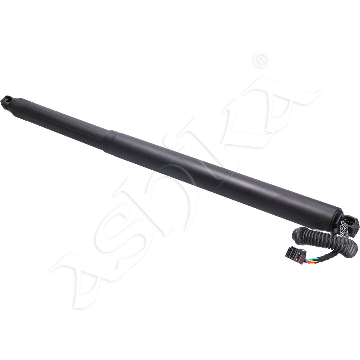 219/ZY-0032_1.jpg