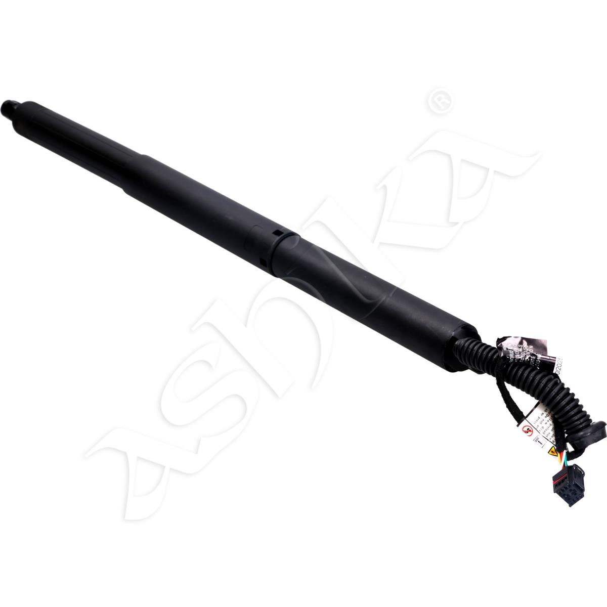 219/ZY-0034_1.jpg