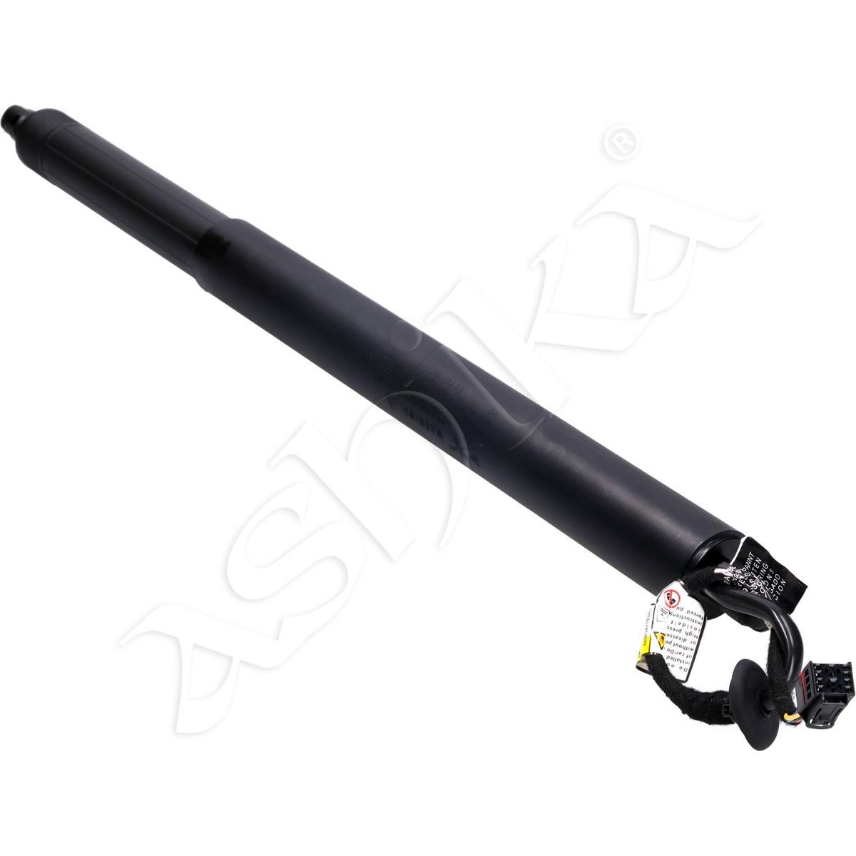 219/ZY-0202_1.jpg
