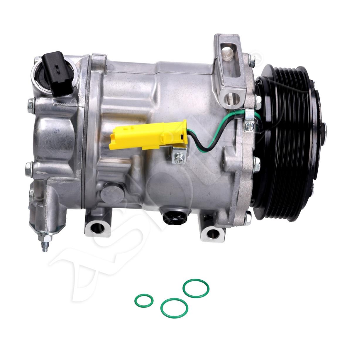 447/CMP2020193_1.jpg