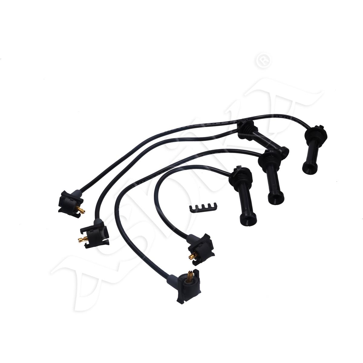 685/IC-00031_1.jpg